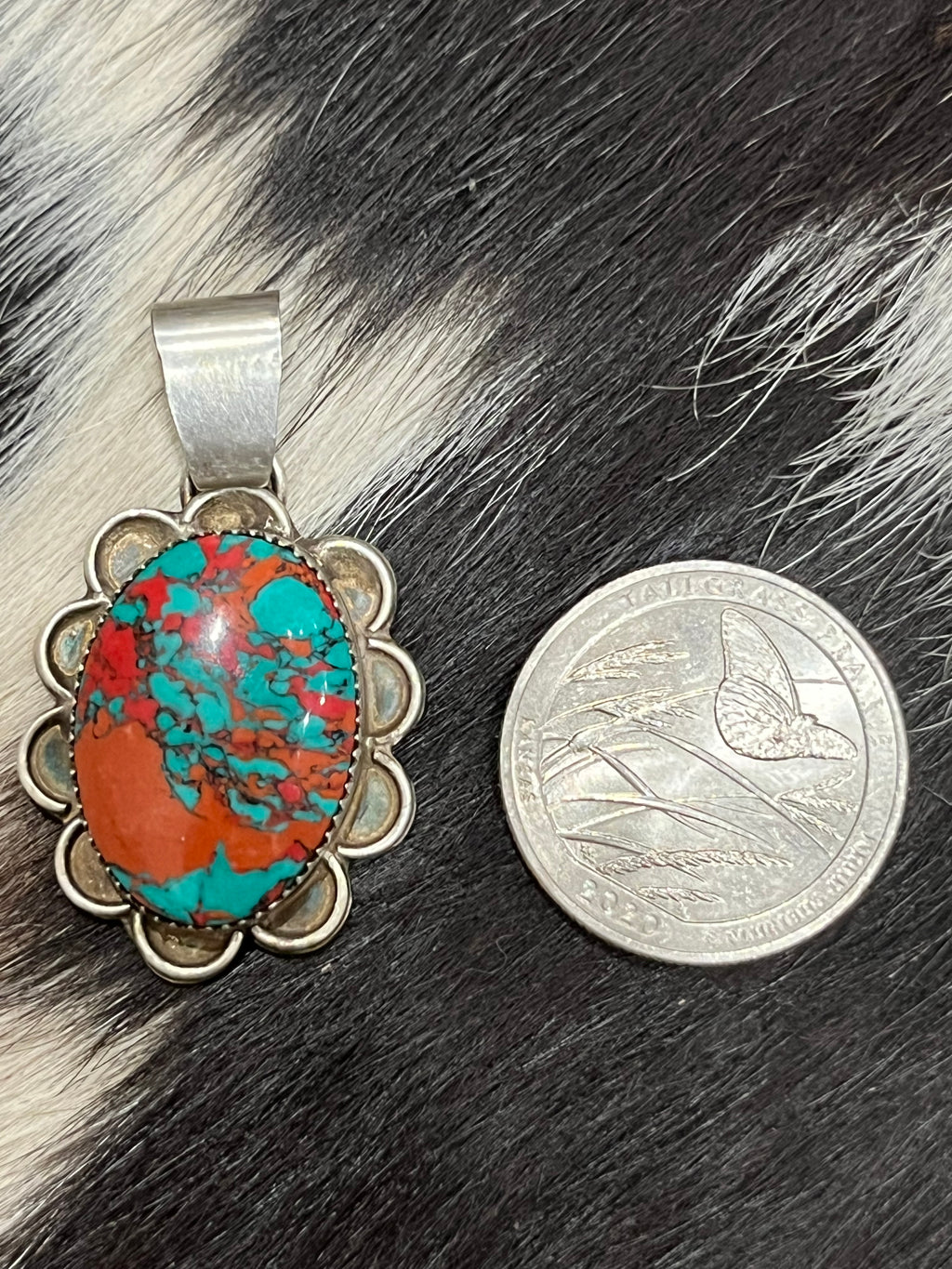 Sonora Sunrise Daisy